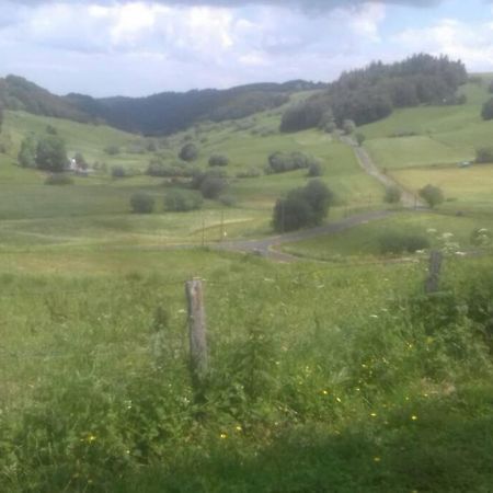 Chalet En Pleine Nature Pour 12 Personnes Besse-et-Saint-Anastaise Exterior photo