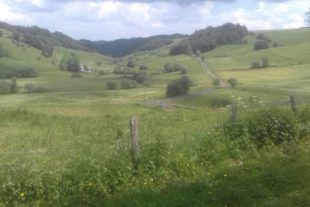 Chalet En Pleine Nature Pour 12 Personnes Besse-et-Saint-Anastaise Exterior photo